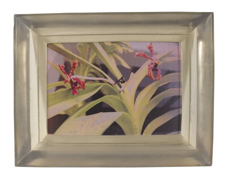 CHIARA DYNYS Poisoned flowers.