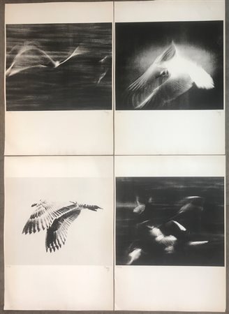 MAGGI - Senza Titolo - Lotto unico di 8 litografie