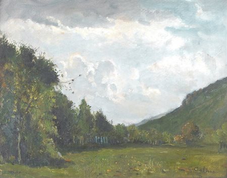 GIOVANNI COLMO<BR>Torino 1867 - 1947<BR>"Bosco settembrino" 3/9/1940