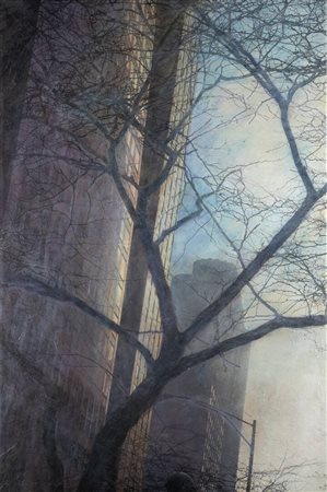 KARINA CHECHIK<BR>Buenos Aires 1966<BR>"A tree beyond the mist" febbraio 2008