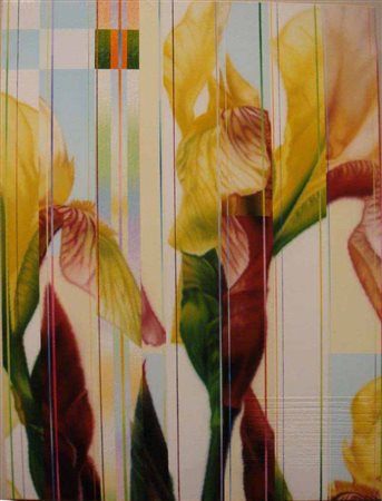 Dany Vescovi (1969), Senza titolo, 2008