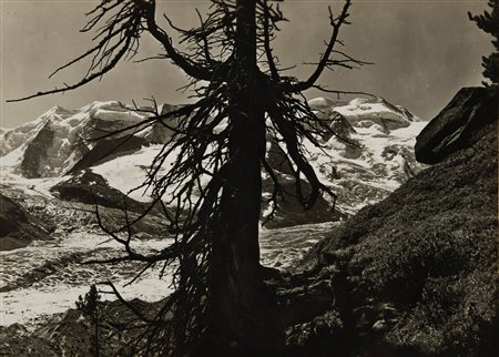 Albert Steiner (1877-1965), Piz Palü und Bellavista