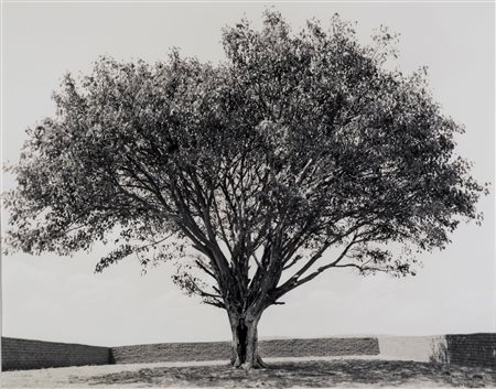 Shirin Neshat (1957), "Tooba" series, 2002