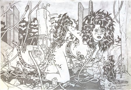 Roberto Baldazzini (1958), Felina