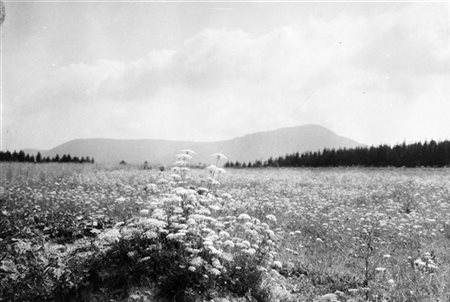 Josef Sudek Paesaggio 1952 ca.

Stampa fotografica vintage alla gelatina sali d'