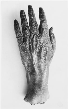 ANONIMO Anatomia 1940 ca.

Serie di cinque stampe fotografiche vintage relative