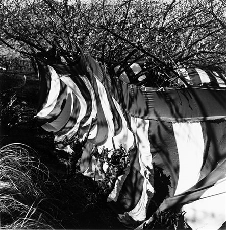 Issei Suda Marquee 1970 ca.

Stampa fotografica vintage alla gelatina sali d'arg