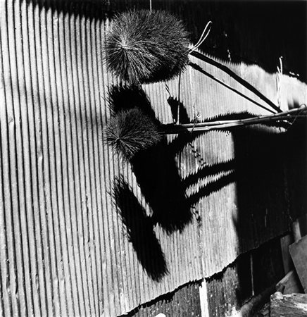 Issei Suda Shadow 1970 ca.

Stampa fotografica vintage alla gelatina sali d'arge
