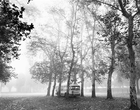 Mimmo Jodice Il Bosco 1984

Stampa fotografica vintage alla gelatina sali d'arge