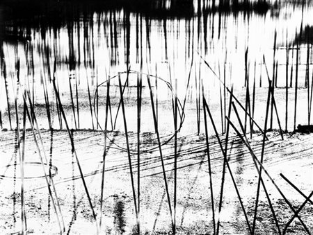 Mario Giacomelli Poesia in cerca d'autore 1990

Stampa fotografica vintage alla