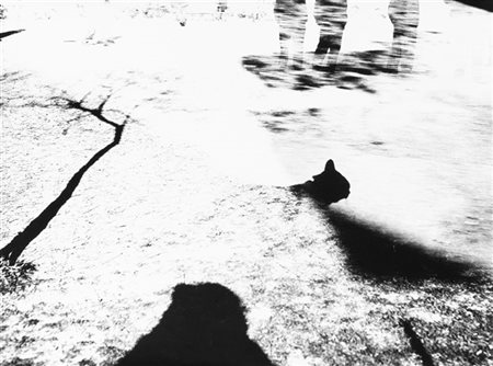 Mario Giacomelli Poesia in cerca d'autore 1990

Stampa fotografica vintage alla