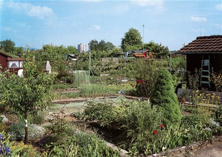 Daniel Wein Senza titolo 1990 ca.

Stampa fotomeccanica.
Firma dell'autore e 34/