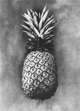 Albert Watson Frutti esotici 1990 ca.

Due stampe fotografiche in bianco e nero.