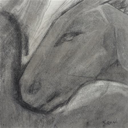 Mario Sironi "Testa di cavallo" 1927 circa
matita e tempera diluita su cartoncin
