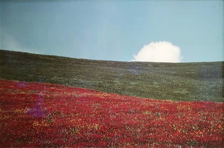 FRANCO FONTANA - Paesaggio
