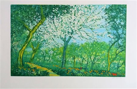 MICHELE CASCELLA - Senza titolo