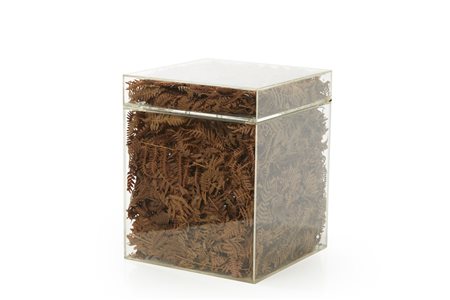 Contenitore in plexiglass