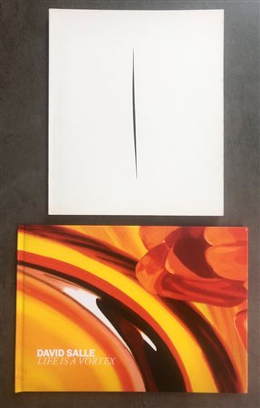 LUCIO FONTANA E DAVID SALLE - Lotto unico di 2 cataloghi