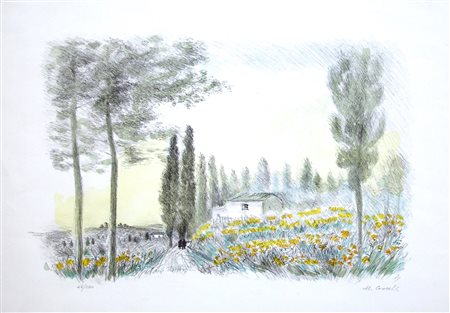 MICHELE CASCELLA, senza titolo