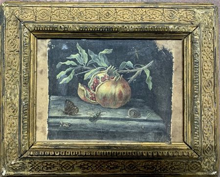 Ignoto "Melograno con farfalla, libellula, lumaca e scarabeo" pergamena dipinta