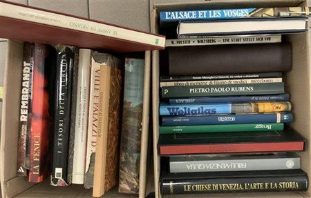 Lotto composto da due cartoni contenenti numerosi volumi inerenti l'arte e la s