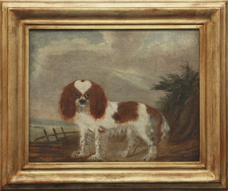 Ignoto della fine del secolo XVIII - inizio XIX "Cane in un paesaggio" olio su