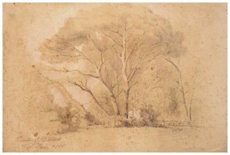 GALLI Tenuta di Coltano 1886 Pastelli su carta 29,3 x 43,5. Titolo, firma e...