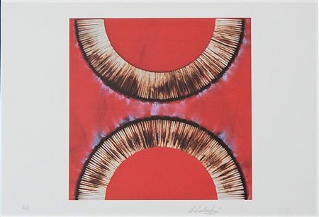 Bernard Aubertin SENZA TITOLO litografia offset, cm 34x49 firma Es. E.A.