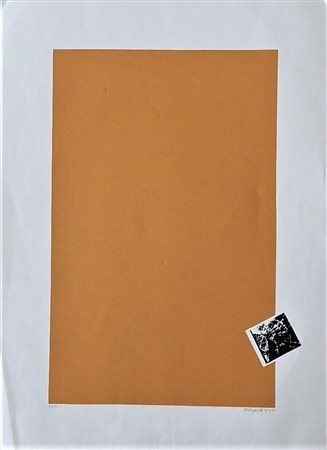 Ignoto SENZA TITOLO serigrafia, cm 70x50,5 firma Es. 71/100 eseguita nel 1972...