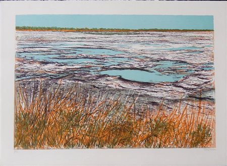 Ignoto SENZA TITOLO litografia, cm 50,5x69 firma es. B/Z