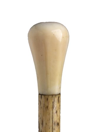 Bastone da passeggio in avorio e osso di balena -  Inghilterra inizio XX secolo