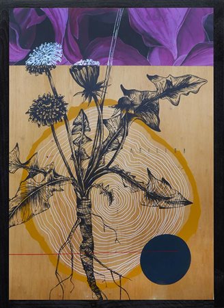 FABIO PETANI (Pinerolo, 1987) Anilina & Taraxacum officinalis, 2018 