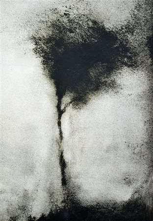 REMO SUPRANI, Albero