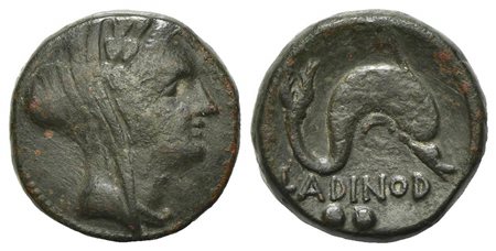 Eastern Italy, Larinum, Biunx, ca. 210-175 BC. AE (g 5.84, mm 17, h 10). Veiled and wreathed head of female (Thetis?) r.; Rv. LADINOD, Dolphin r.; two pellets in exergue. HNItaly 628; SNG ANS 140-1. Rare, green patina, good very f