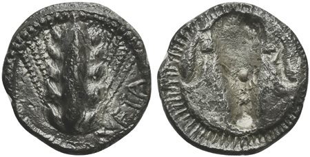 Southern Lucania, Metapontion, Triobol, ca. 470-440 BC; AR (g 1,28; mm 12; h 12); Barley ear; Rv. Incuse bucranium. Noe 285; HNItaly 1487. Very fine