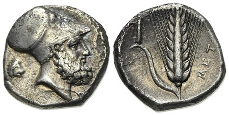 Southern Lucania, Metapontion, Stater, ca. 340-330 BC. AR (g 7,68; mm 21; h 11). Helmeted head of Leukippos r.; to l., lion head r.; Rv. MET[A], Barley ear with leaf to l.; club above leaf, AMI below. Johnston Class B 2; HNItaly 1