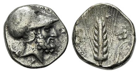 Southern Lucania, Metapontion, Stater, ca. 340-330 BC. AR (g 7,65; mm 21; h 9). Ami-, magistrate. Helmeted head of Leukippos r.; to l., dog seated l.; Rv. [META], Barley ear of seven grains with leaf to r.; above leaf, dove alight