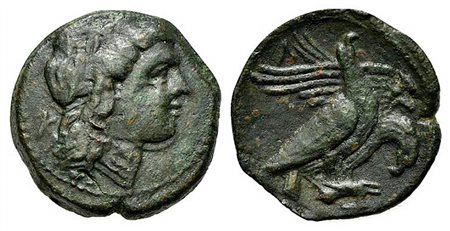 Sicily, Akragas. Phintias (287-279 BC). AE (g 6,66; mm 21; h 5). Laureate and beardless head of Zeus Hellanios r.; K behind; Rv. Two eagles standing r. on dead hare, one raising its head, the other tearing at hare; Λ above. CNS 13