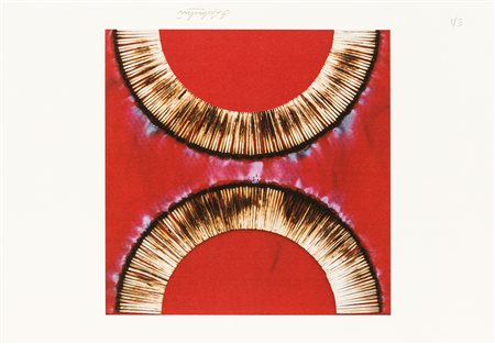 BERNARD AUBERTIN (1934-2015) - Senza Titolo