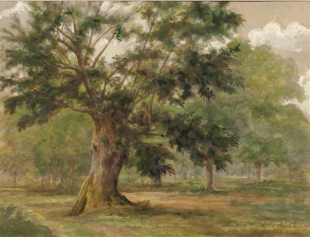 FIRMA ILLEGIBILE fine del XIX Sec. "Bosco", tecnica mista su carta, entro...