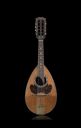 Mandolino di Raffaele Calace, Napoli 1907
Fondo bombato di 17 doghe di palissan