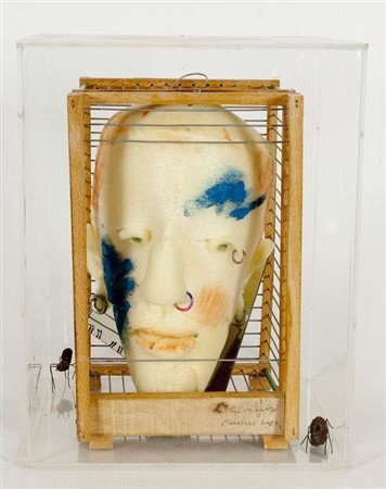 Gerardo Di Fiore Narciso, 2000 assemblaggio di vari materiali dentro teca di...