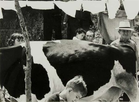 Mario Giacomelli La buona terra fotografia in bianco e nero, cm. 30x40 Firma...