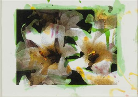 Mat Collishaw Senza titolo, 2000 acquarelli e tecnica mista su carta, cm....