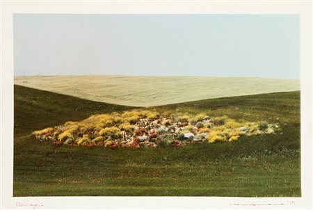 Franco Fontana (1933)  - Paesaggio, 1975