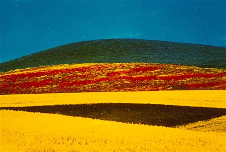 Franco Fontana (1933)  - Paesaggio, 1995