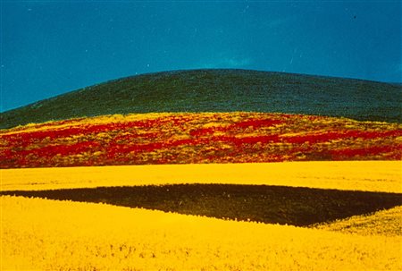 Franco Fontana (1933)  - Paesaggio, 1995