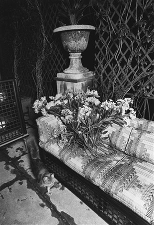 Gabriele Basilico (1944-2013)  - Studio di architettura per Domus: composizione con divano e gatto, years 1970-1980