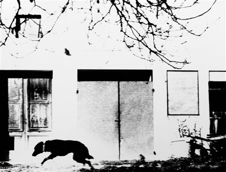 Mario Giacomelli (1925-2000)  - Questo ricordo lo vorrei raccontare, 2000