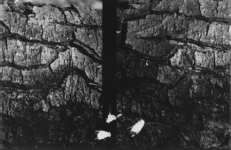 Luigi Erba (1949)  - Panorama per insetti #4 (Omaggio a Bartolini), 1995-2007